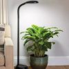 Indoor Garden * | Gsc Agrobrite Floor Led Plant Lamp