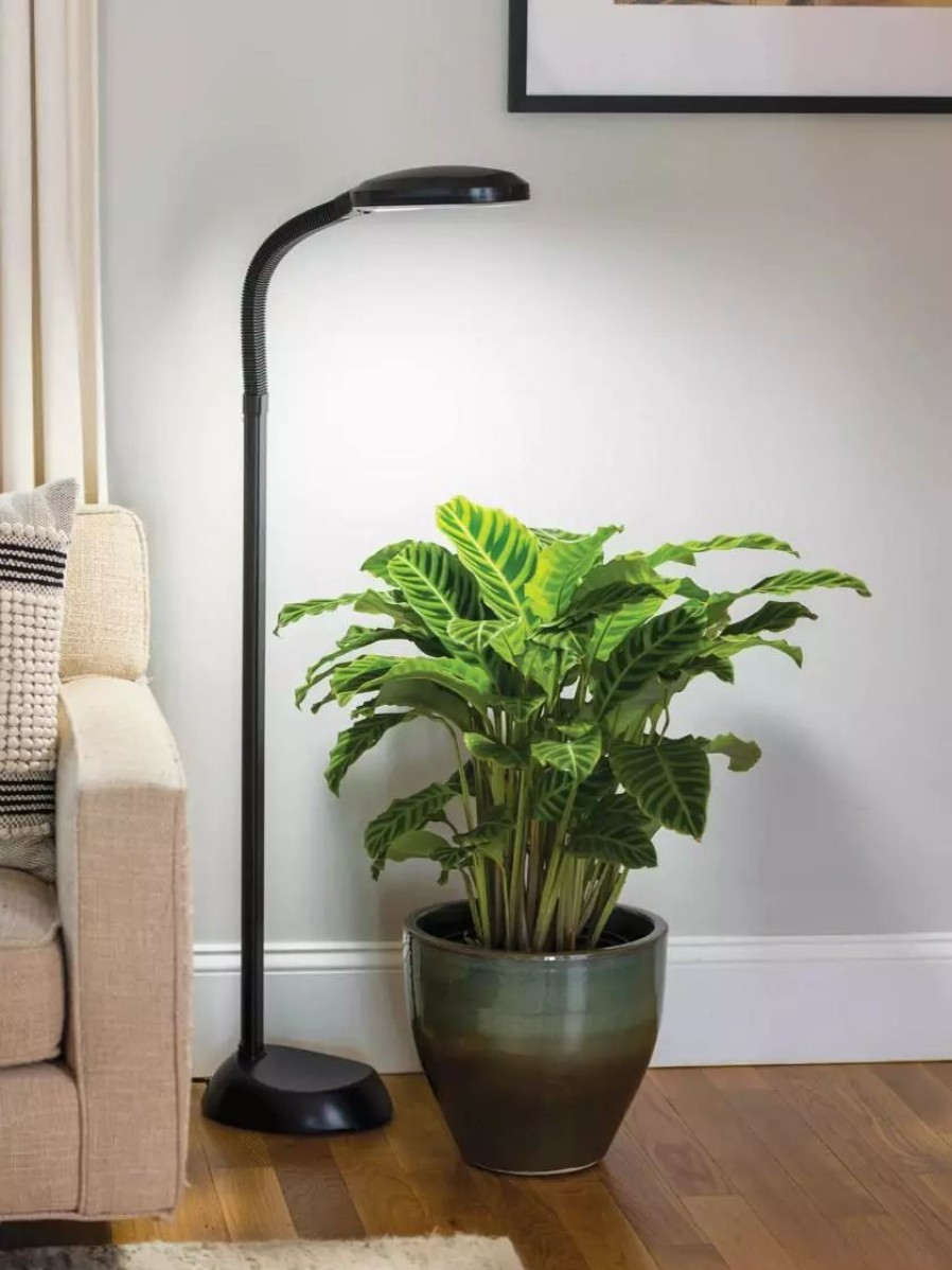 Indoor Garden * | Gsc Agrobrite Floor Led Plant Lamp