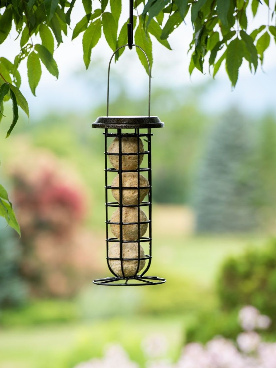 Backyard Habitat * | Gsc Suet Ball & Feeder Combo Set