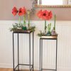 Indoor Garden * | Gsc Square Nesting Plant Stands With Trays, Set Of 2 Copper