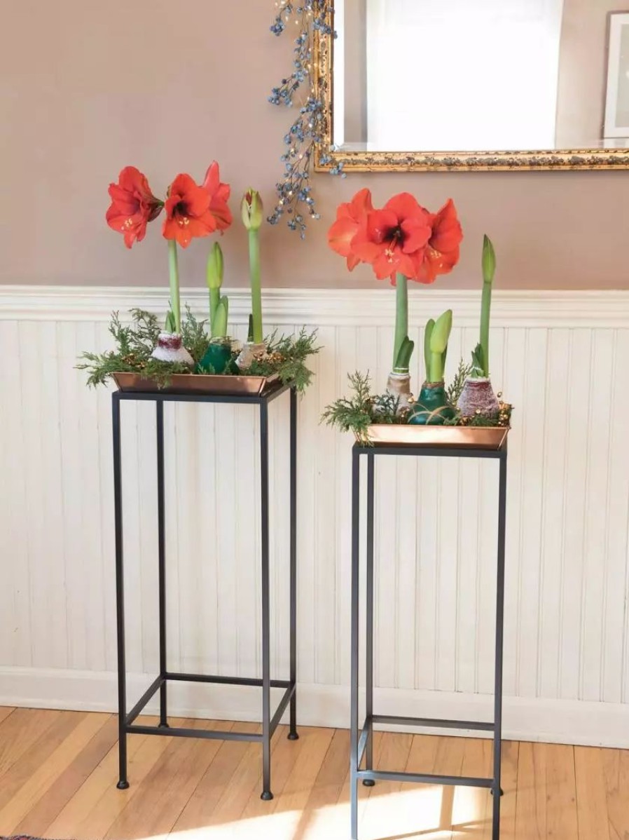 Indoor Garden * | Gsc Square Nesting Plant Stands With Trays, Set Of 2 Copper