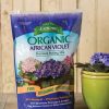 Indoor Garden * | Gsc Espoma African Violet Potting Mix, 4 Quart