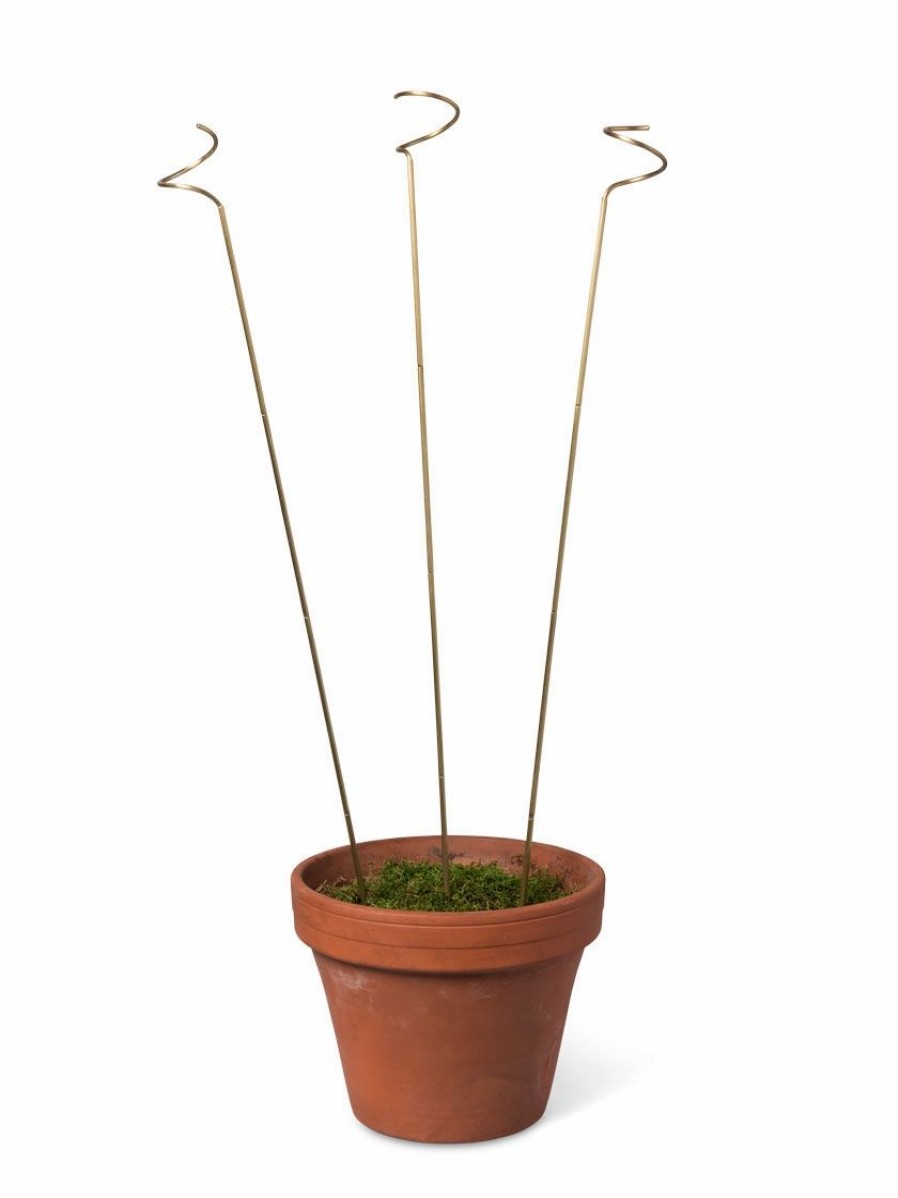 Indoor Garden * | Gsc Adjustable Amaryllis Stakes, Set Of 3