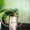 Indoor Garden * | Gsc Copper Indoor Watering Can