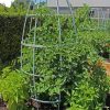 Yard & Garden Decor * | Gsc Toki Bubble Trellis