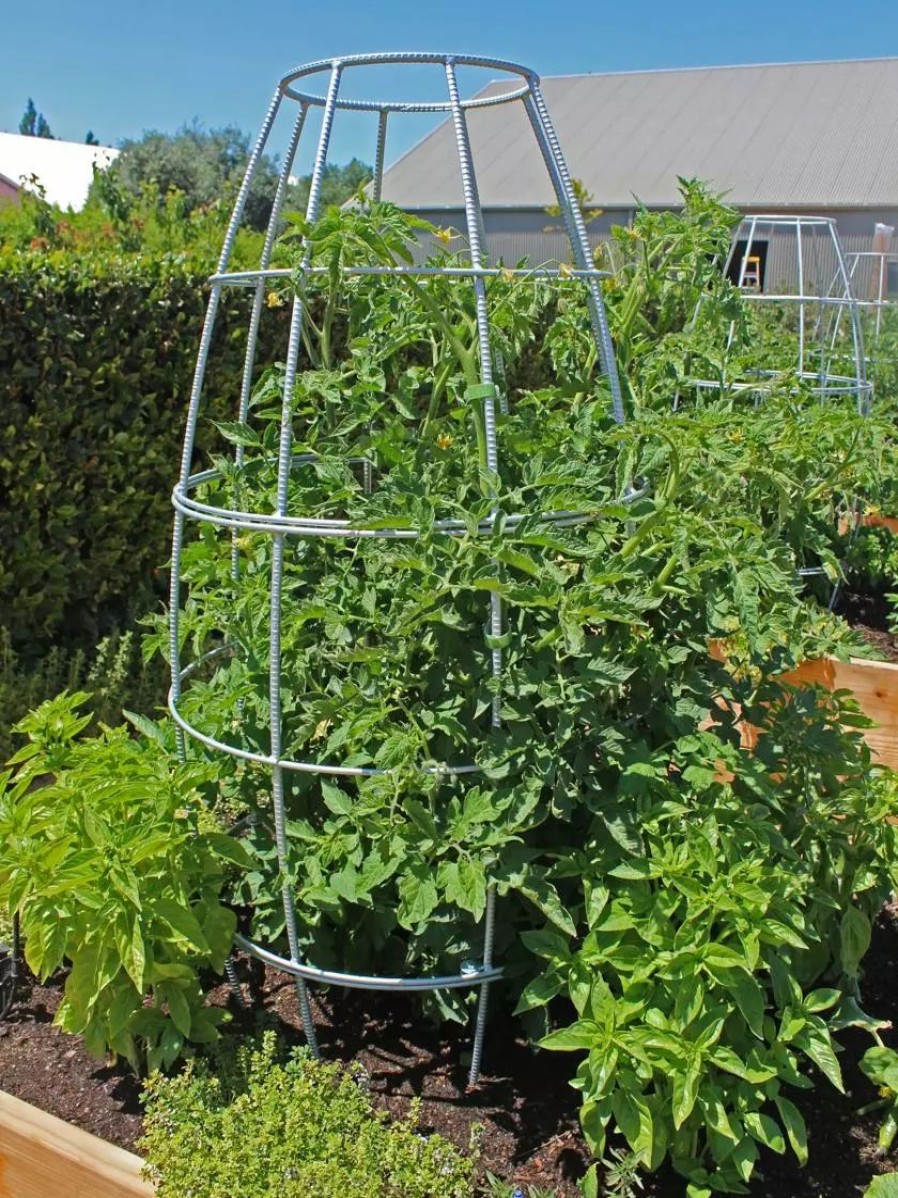 Yard & Garden Decor * | Gsc Toki Bubble Trellis