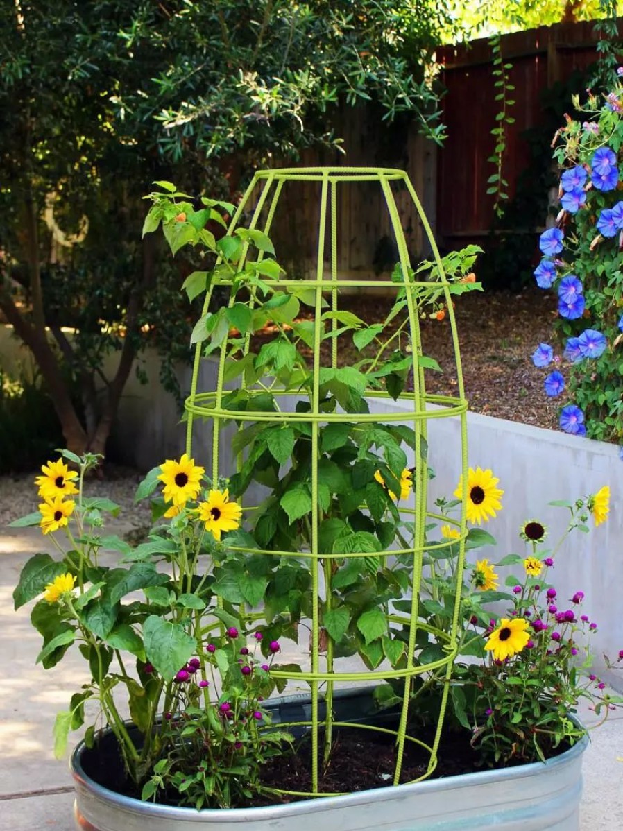 Yard & Garden Decor * | Gsc Toki Bubble Trellis