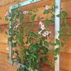 Yard & Garden Decor * | Gsc Ina Modern Wall Trellis Jr.