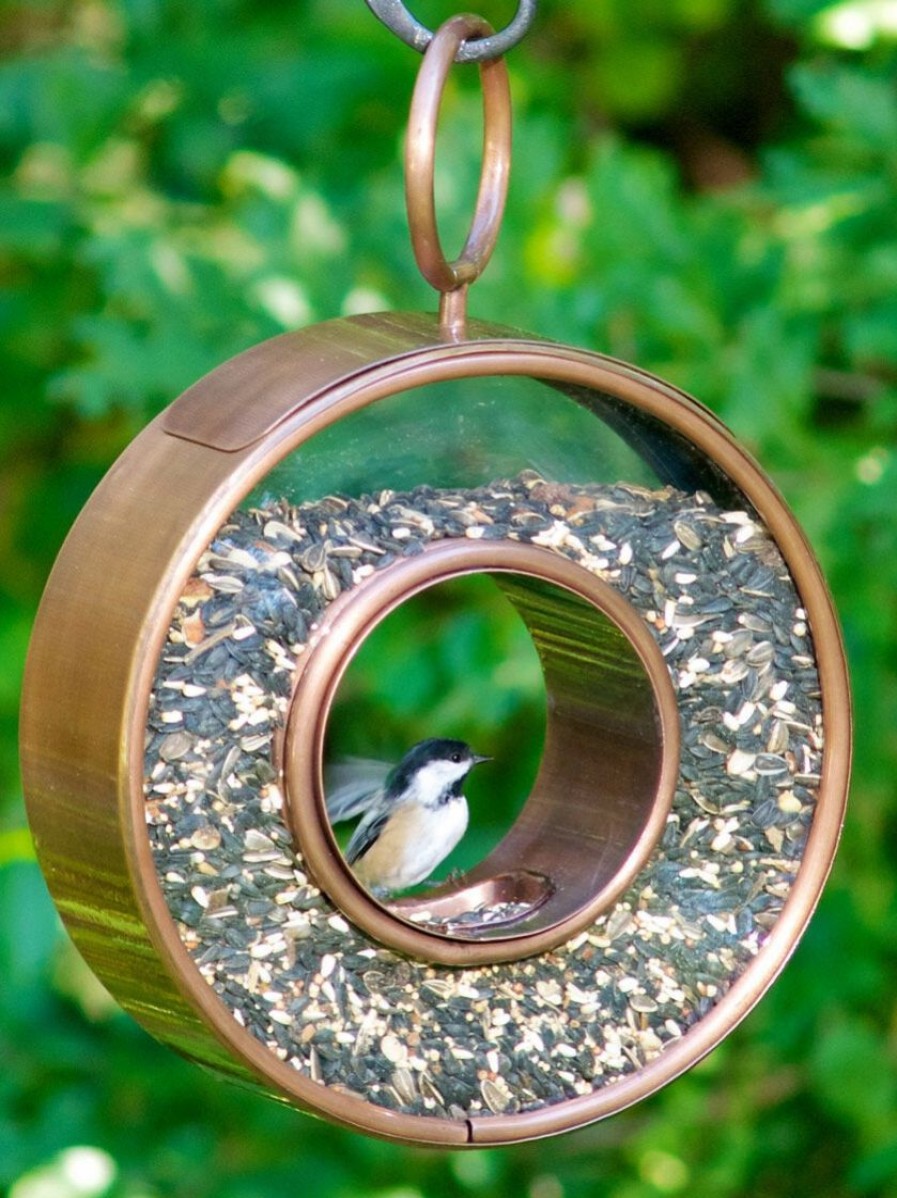 Backyard Habitat * | Gsc Fly-Thru Bird Feeder With Copper Finish